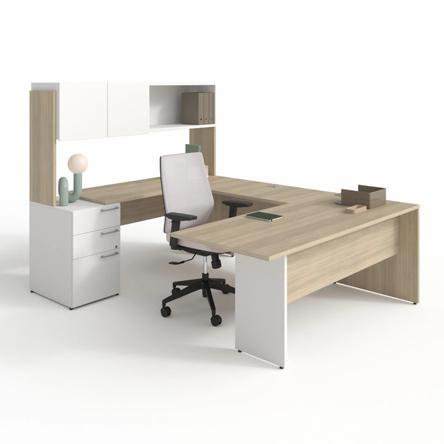 CA1ES-PLAN01 - SNO NEIGE / BOR BORÉALIS