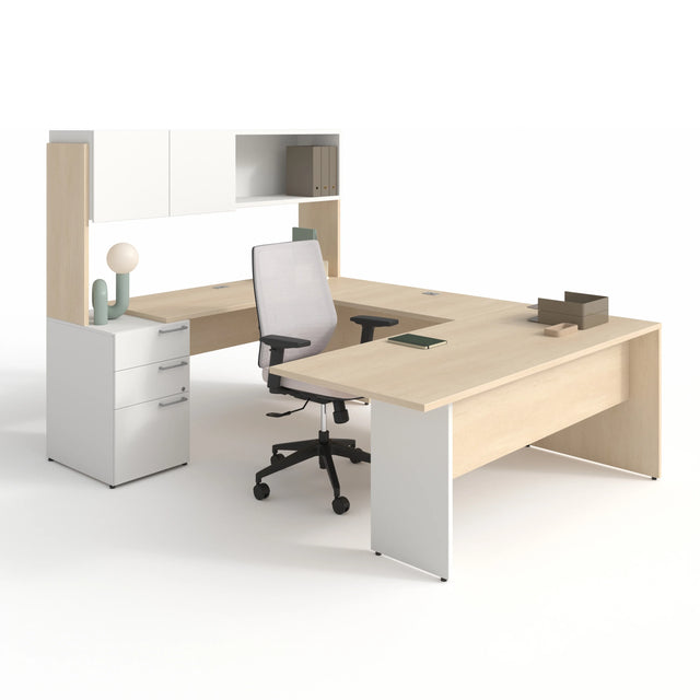 CA1ES-PLAN01 - SNO NEIGE / ERH ÉRABLE DE MONTAGNE