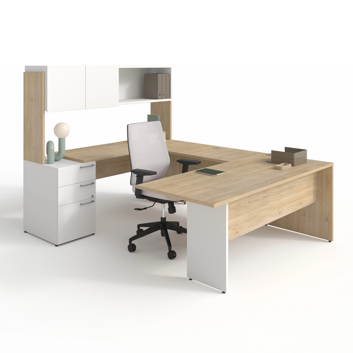 CA1ES-PLAN01 - SNO NEIGE / RAS RACINES