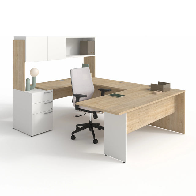 CA1ES-PLAN01 - SNO NEIGE / RAS RACINES