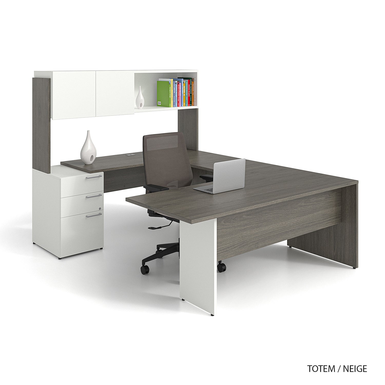 CA1ES-PLAN01 - SNO NEIGE / TOM TOTEM