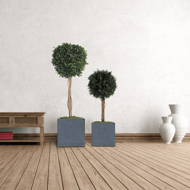 Deux arbres stabilisés Folia de ByNature en pots carrés bleus dans un intérieur contemporain avec plancher en bois