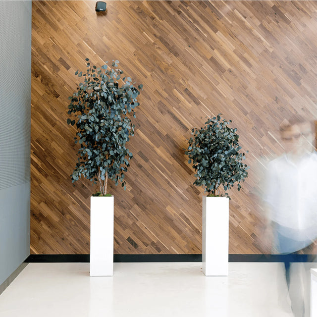 Deux arbres stabilisés Folia de ByNature en pots blancs dans un hall d’entrée moderne avec mur de bois en diagonale