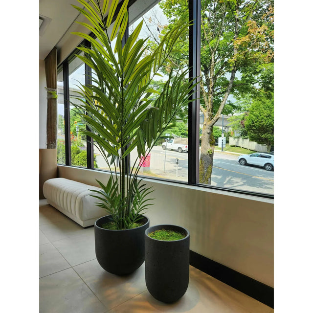 Jardinières artificielles ByNature avec palmier réaliste et mousse décorative dans un espace bureau vitré en coin