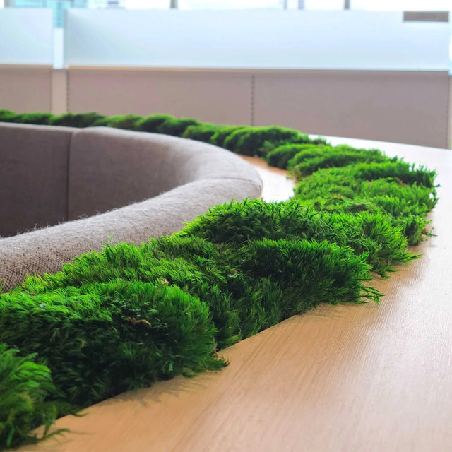 Mousse stabilisée ByNature intégrée dans une table en bois courbée au cœur d’un espace de travail lumineux