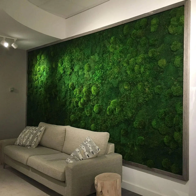 Mur décoratif en mousses naturelles stabilisées – ByNature