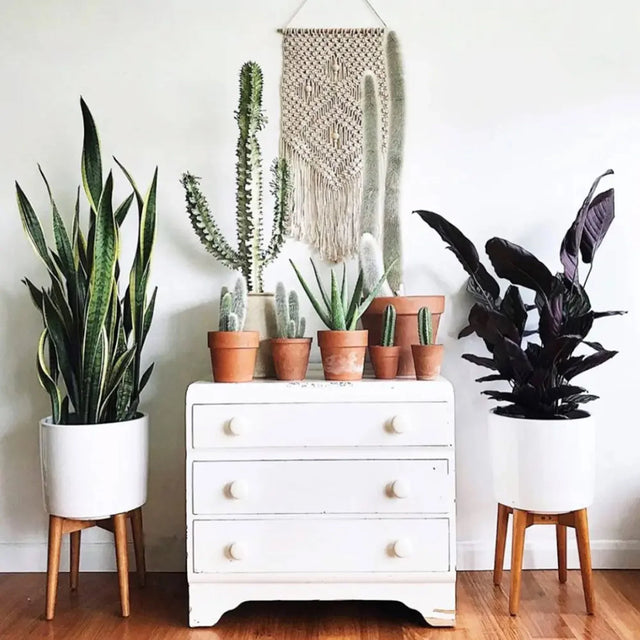 Plantes artificielles réalistes de ByNature dans un décor intérieur lumineux