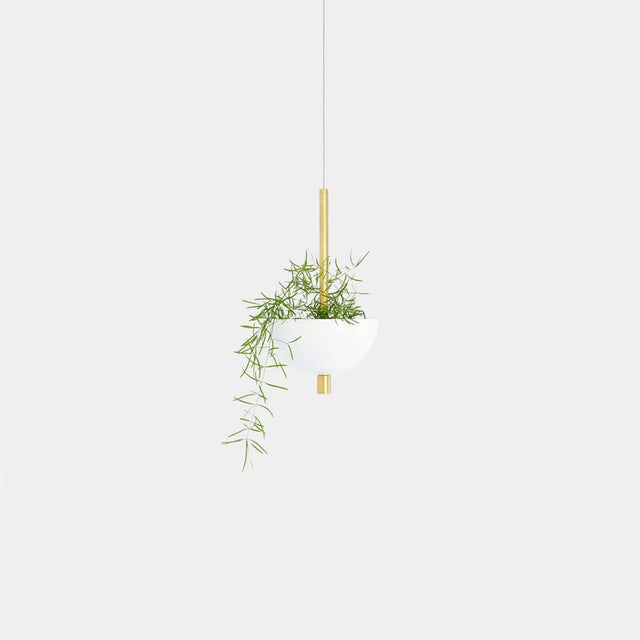 Suspension végétale design ByNature en demi-sphère blanche avec tige en laiton doré et plante tombante