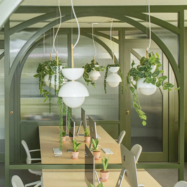 Suspensions végétales lumineuses ByNature dans un bureau design vert avec arches en bois et plantes tombantes