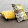 Throw Pillows decorative cushion