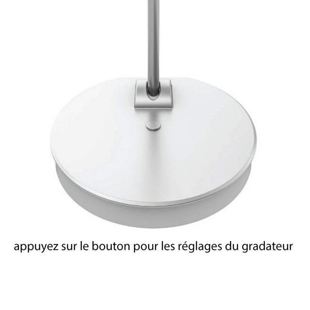 Lily LED desk lamp