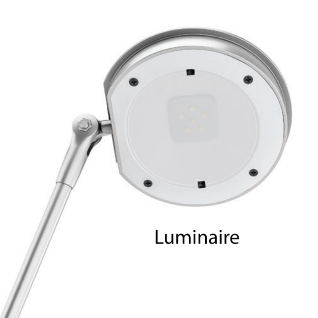 Lily LED desk lamp