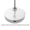 Lily LED desk lamp