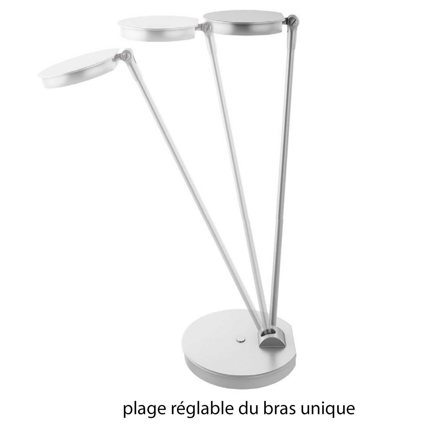 Lily LED desk lamp