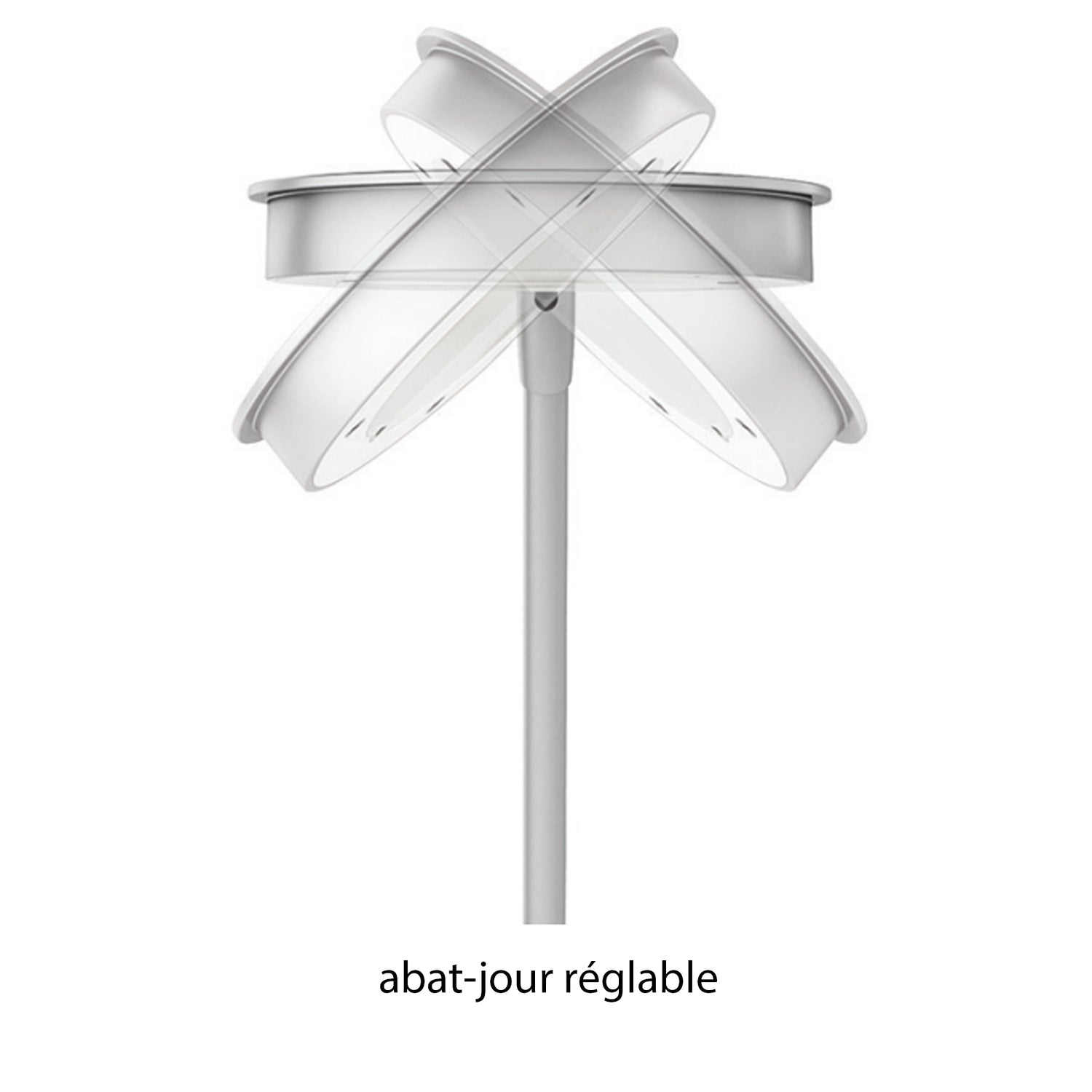 Lily LED desk lamp