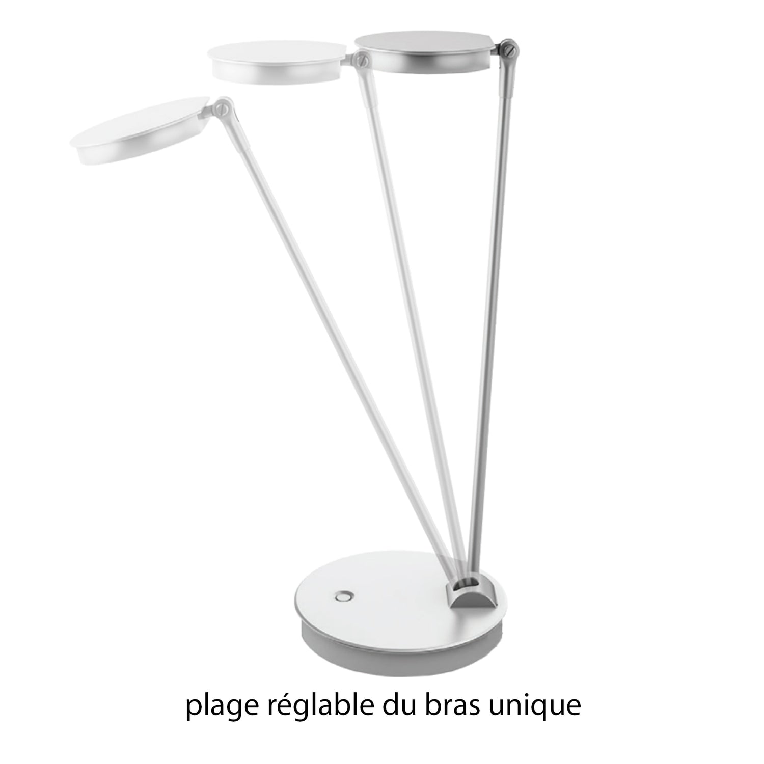 Lily LED desk lamp