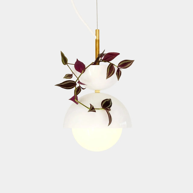 Suspension végétale lumineuse ByNature en double dôme blanc et laiton avec plante tradescantia au feuillage pourpre et vert