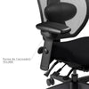 Fauteuil taille forte eCentric Executive